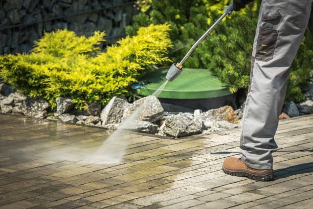 Best Driveway Pressure Washing  in High Bridge, WA
