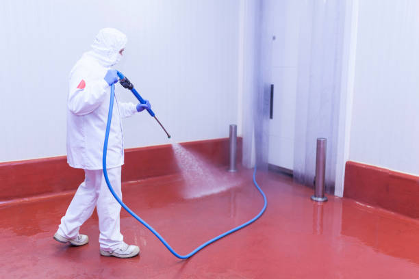 Best Oil Spill Cleanup  in High Bridge, WA